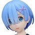 PM Figure Rem