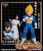 photo of LIFE SIZE SSJ VEGETA