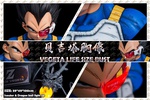 photo of BLACK HAIR SCOUTER VEGETA BUST