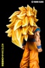 photo of DUC003Super Saiyan 3 Goku
