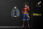 photo of Monkey D Luffy