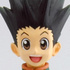 DX Figure Gon Freecss