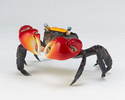 photo of Revo Geo Vol.2 Red-clawed Crab