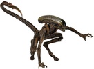 photo of 7 Inch Action Figure Aliens Series 3 Dog Alien Brown