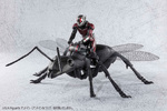 photo of S.H.Figuarts Ant