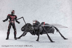 photo of S.H.Figuarts Ant