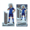 photo of Acrylic Figure Inazuma Eleven: Haizaki Ryouhei