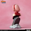 photo of Sakura Haruno Scale Bust