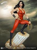 photo of Super Powers Donna Troy Maquette