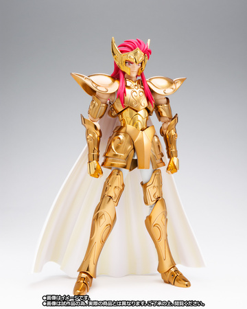 main photo of Saint Cloth Myth EX Aquarius Camus ~Original Color Edition~