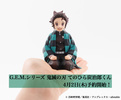 photo of G.E.M. Series Tenohira Kamado Tanjirou