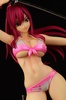 photo of Erza Scarlet Swimsuit Gravure_Style/ver.Sakura