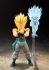 photo of S.H.Figuarts Gotenks SSJ