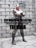 photo of CCP Muscular Collection (NO.36) The Ninja Kouki Toujou Ver. Gensaku Black Metallic