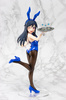 photo of Aragaki Ayase Bunny Resized Ver.