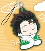 photo of Eformed Demon Slayer Futonmushi Rubber Strap Vol.2: Tanjirou Kamado