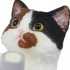 Kanpainyan: Calico Cat