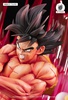 photo of HQS Son Goku Kaio-ken ver.