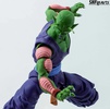 photo of S.H.Figuarts Piccolo The Proud Namekian ver.