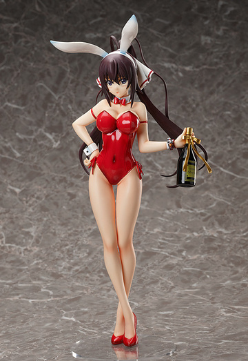 main photo of B-style Shinonono Houki Bare Leg Bunny Ver.