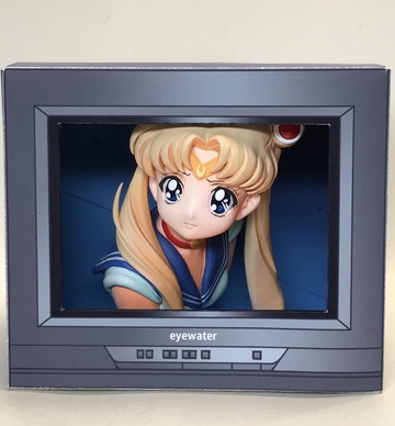 main photo of Sailor Moon