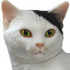 AIP Osamu Moriguchi's Cat Figure Mascot: Ver. B