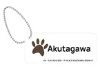 photo of Bungo Stray Dogs Nameplate Keychain: Akutagawa