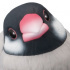 Tenori Friends 1R: Normal Java Sparrow