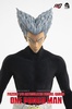 photo of FigZero Garou