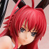 B-style Rias Gremory Bare Leg Bunny Ver.