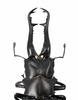 photo of Revo Geo Giraffe Stag-Beetle