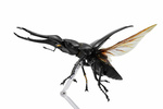 photo of Revo Geo Giraffe Stag-Beetle