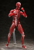 photo of figma Human Anatomical Model