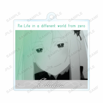 main photo of Re:ZERO -Starting Life in Another World- Trading Acrylic Keychain: Echidna