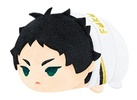 photo of MochiMochi Mascot Haikyuu!! vol.4: Keiji Akaashi