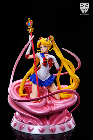main photo of Sailor Moon Real Color Ver.