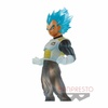 photo of Clearise Vegeta SSGSS