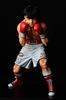 photo of Makunouchi Ippo -fighting pose- damage ver.