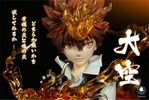 photo of Sawada Tsunayoshi