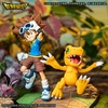 photo of DXF Figure Taichi & Agumon