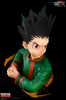 photo of Gon Freecss Bust