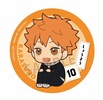 photo of Look Up Hinata Shouyou