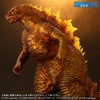 photo of Toho Daikaiju Series Godzilla 2019 Burning Ver.