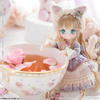 photo of Primrose × SugarCups Chocolala ～Little Milky Cat～