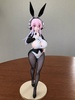 photo of BiCute Bunnies Sonico Newly Drawn Costume Ver