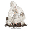 photo of Mushroom Girls Series No.2 Dictyophora Indusiata