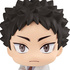 Look Up Iwaizumi Hajime