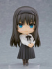 photo of Nendoroid Tohno Akiha