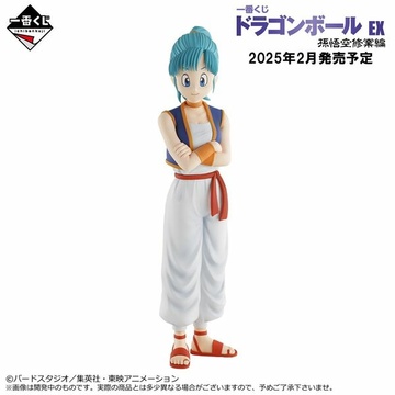 main photo of Ichiban Kuji Dragon Ball EX Son Goku Shugyou-hen: Bulma