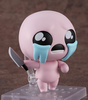 photo of Nendoroid Isaac